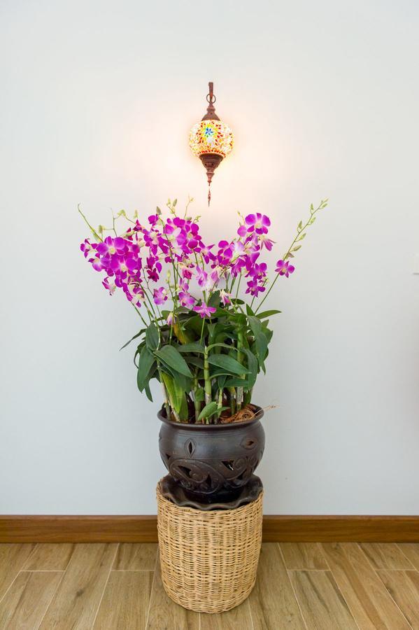Villa Thai Orchid (Adults Only) Chiang Mai Exterior photo